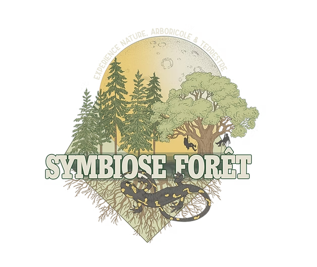 Symbiose Forêt